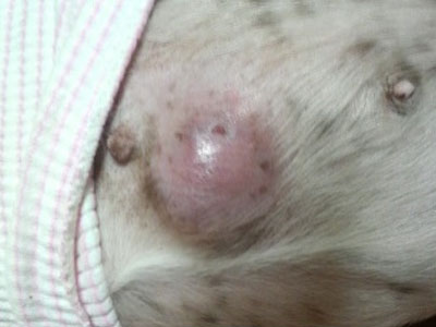 case2